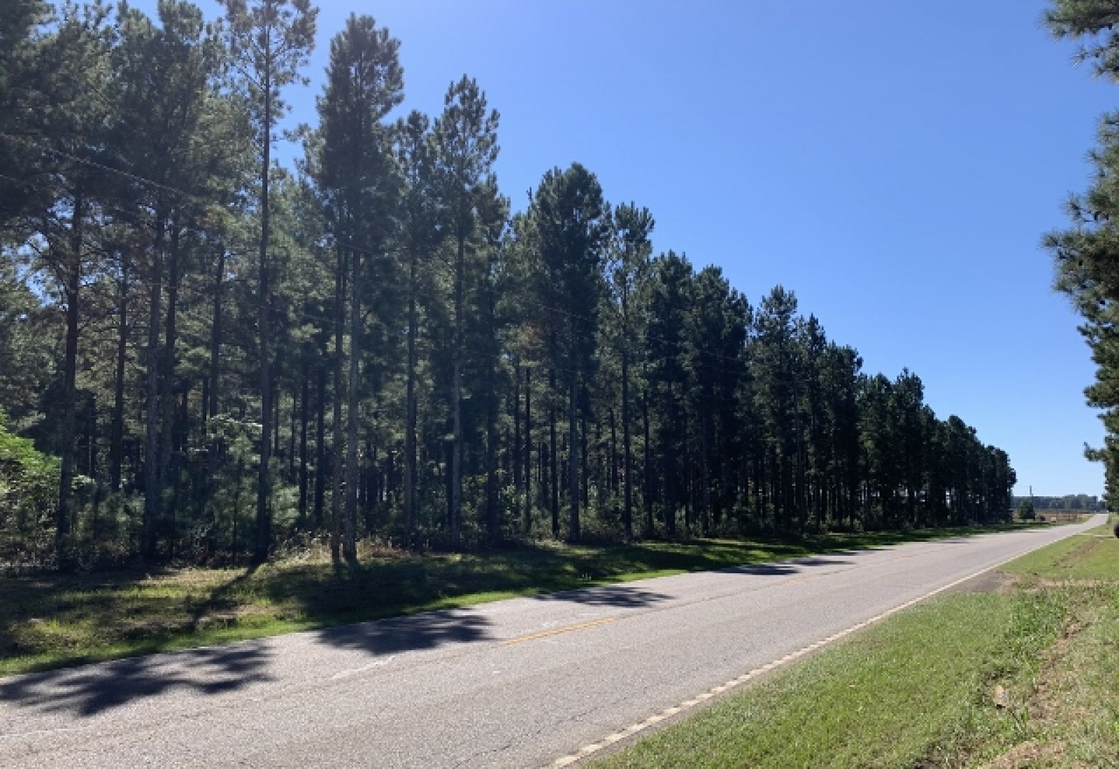 Edgefield, ,Land,Sold,1095