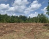 Abbeville County, ,Land,Sold,1106
