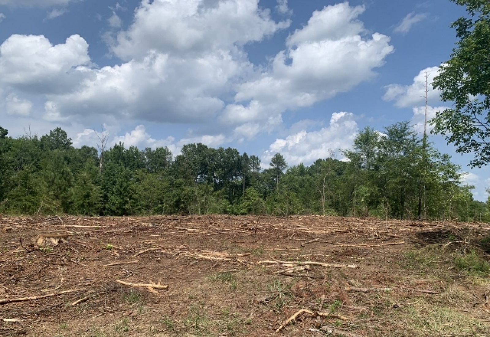 Abbeville County, ,Land,Sold,1106