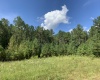 Abbeville County, ,Land,Active,1108