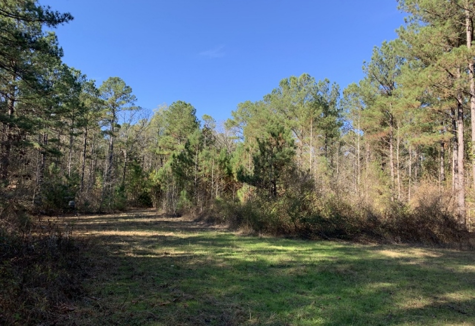 Abbeville County, ,Land,Sold,1110