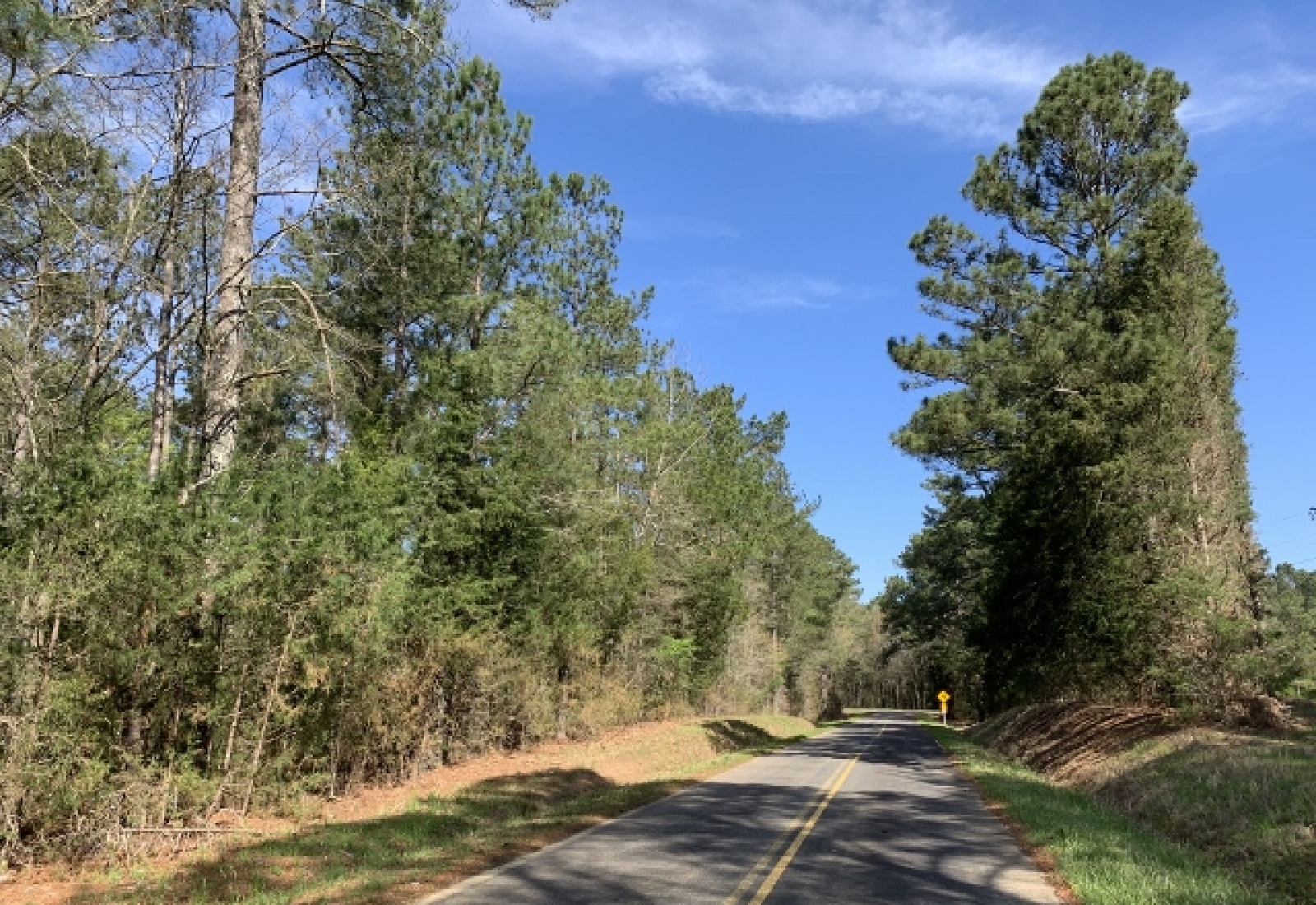 Edgefield County, ,Land,Contract Pending,1115