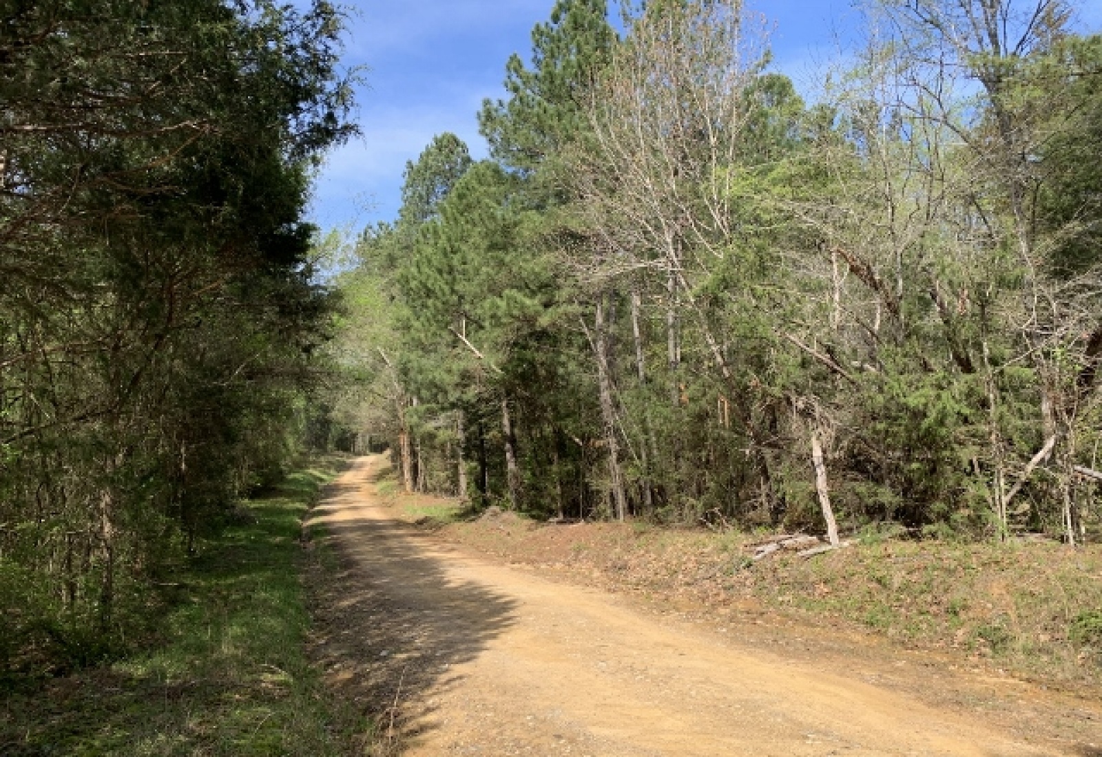 Edgefield County, ,Land,Contract Pending,1115