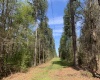 Edgefield County, ,Land,Sold,1115