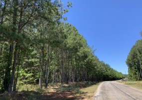 Greenwood County, ,Land,Sold,1119