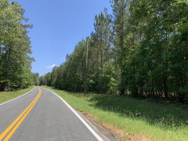 South Carolina Land For Sale – Thompson Forest