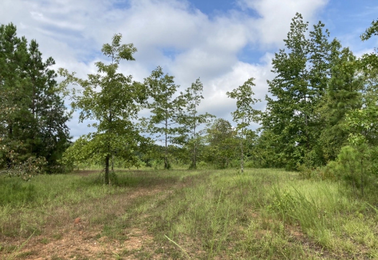 McCormick County, ,Land,Active,1130