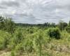 McCormick County, ,Land,Active,1130