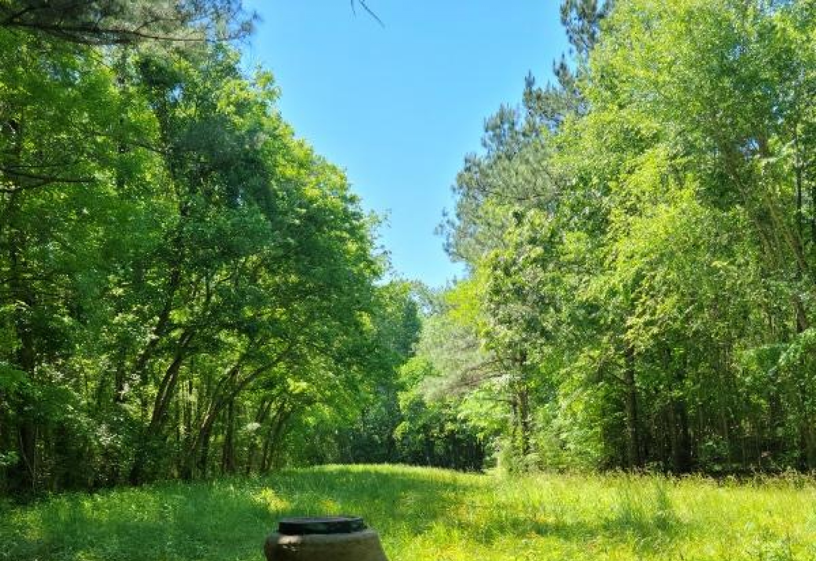 Land For Sale Thompson Forest