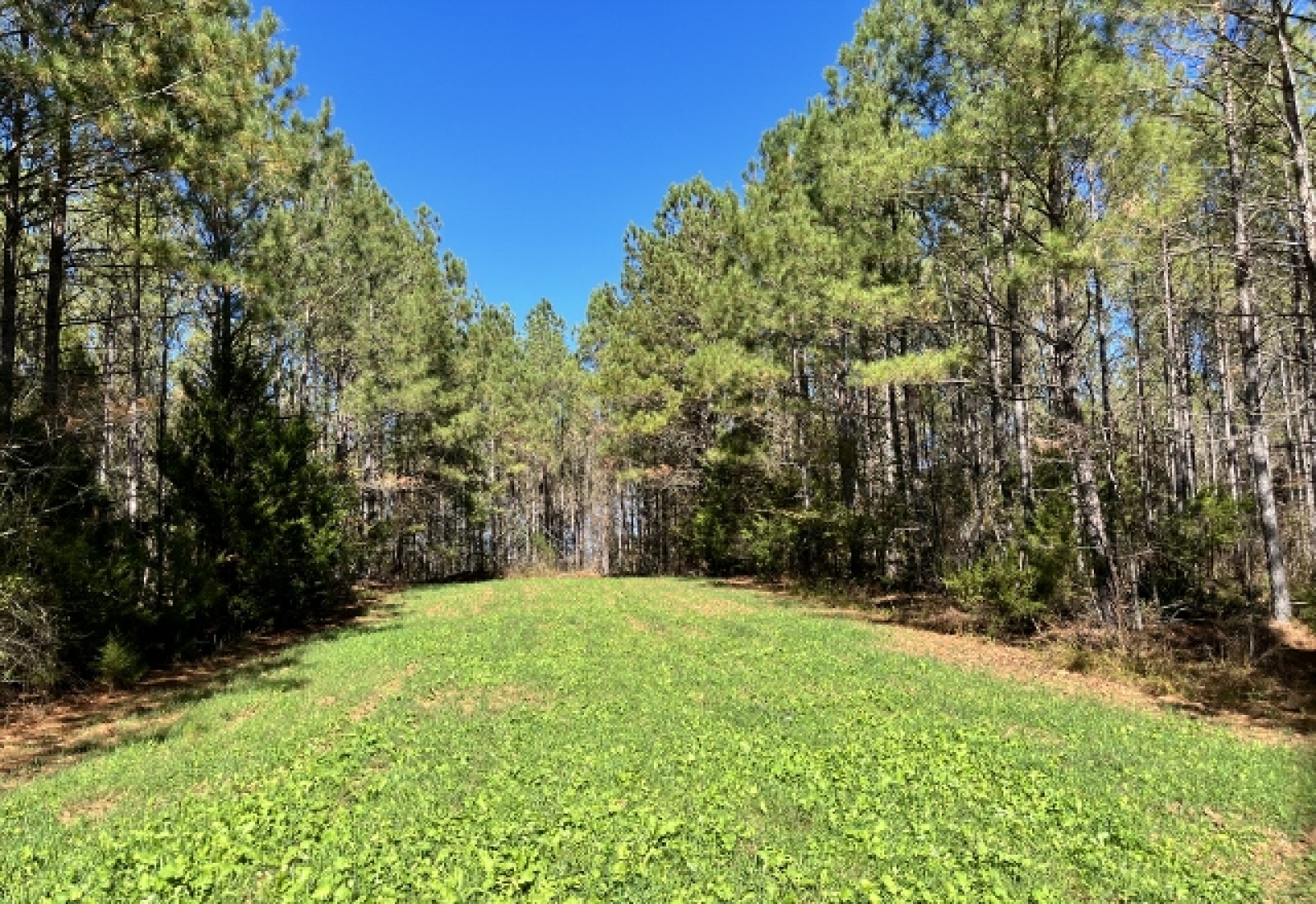 Abbeville County, ,Land,Sold,1135