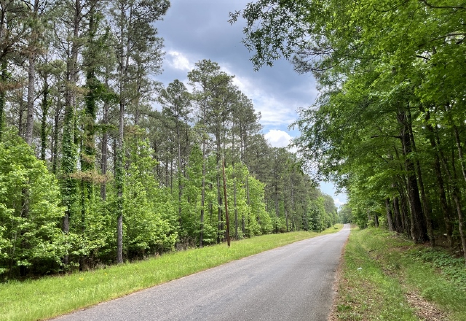 Greenwood County, ,Land,Contract Pending,1147