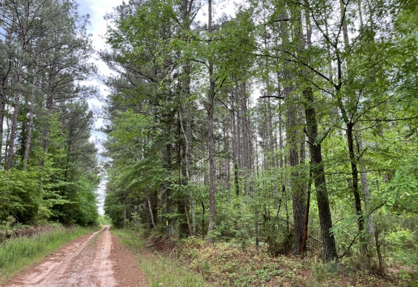 Greenwood County, ,Land,Contract Pending,1147