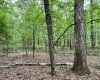 Greenwood County, ,Land,Sold,1147