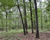 Greenwood County, ,Land,Sold,1147