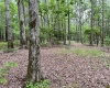 Greenwood County, ,Land,Contract Pending,1147