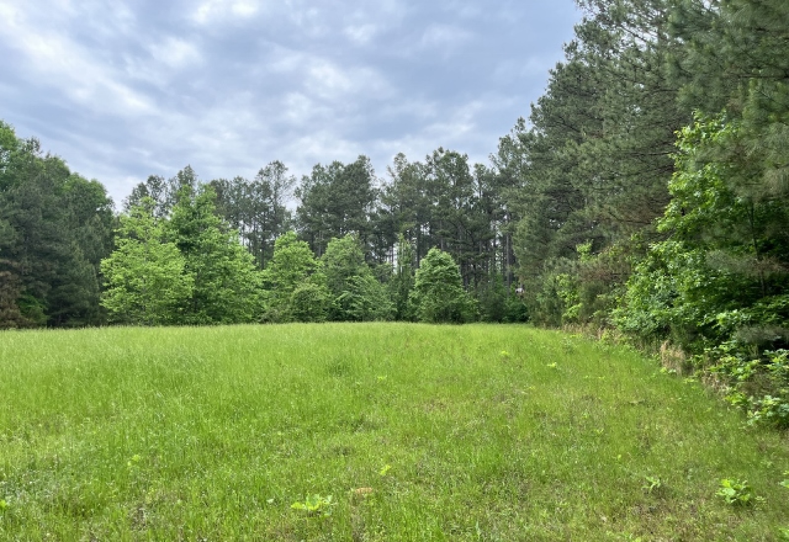 Greenwood County, ,Land,Contract Pending,1147