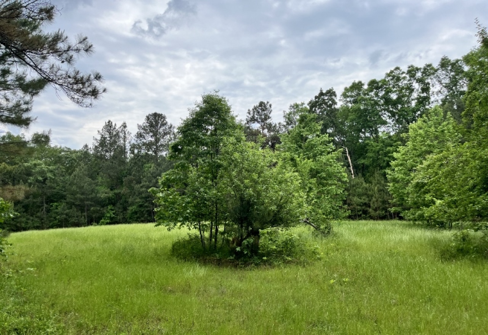 Greenwood County, ,Land,Sold,1147