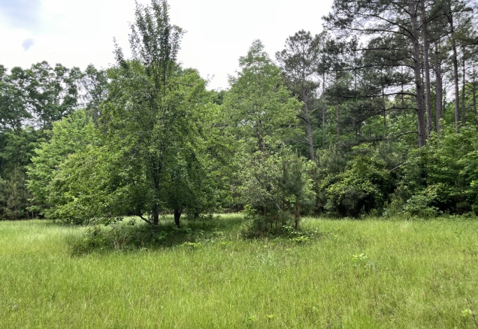 Greenwood County, ,Land,Sold,1147