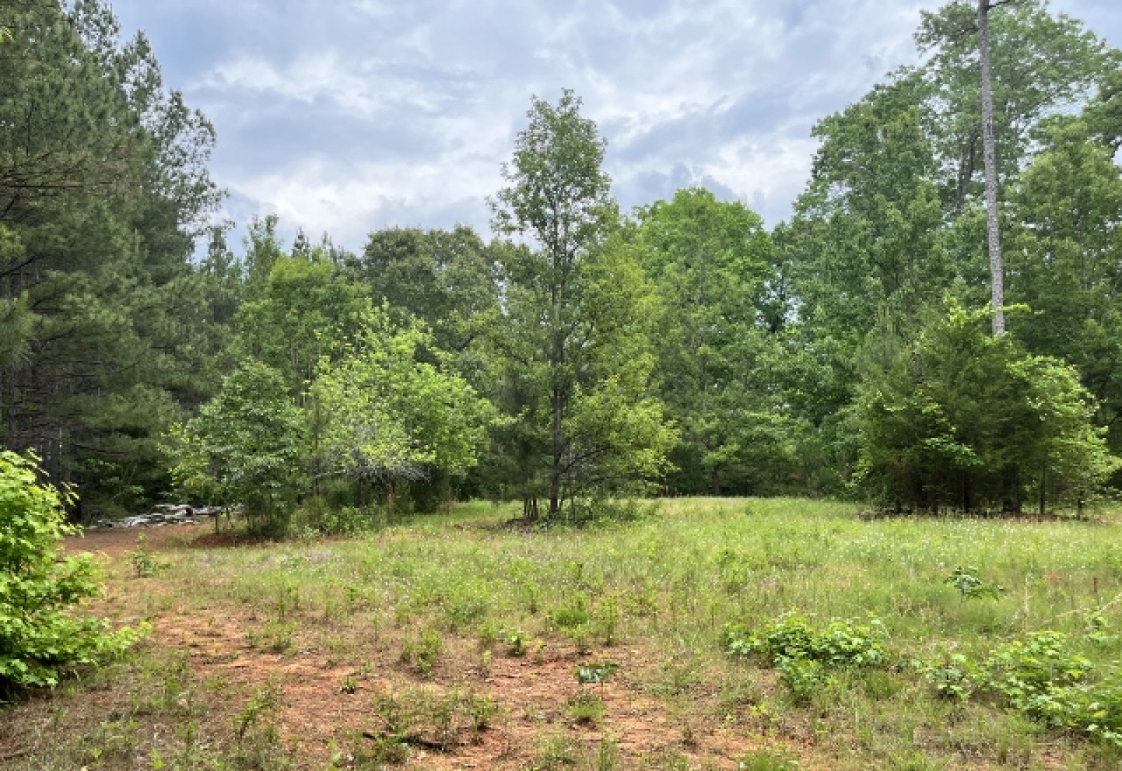 Greenwood County, ,Land,Sold,1148