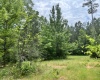 Greenwood County, ,Land,Sold,1148