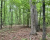 Greenwood County, ,Land,Contract Pending,1148