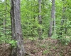 Greenwood County, ,Land,Sold,1148