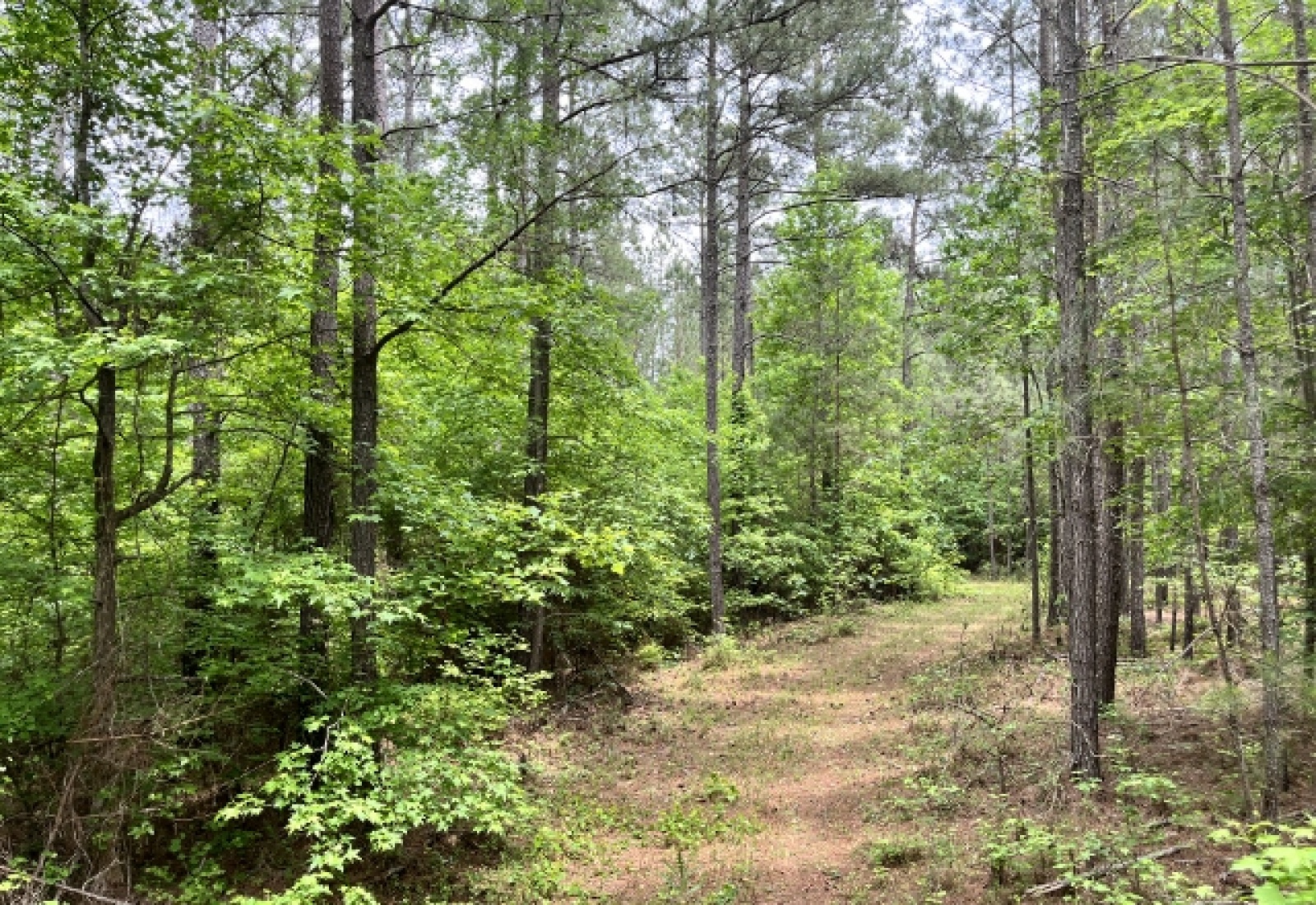 Greenwood County, ,Land,Contract Pending,1148