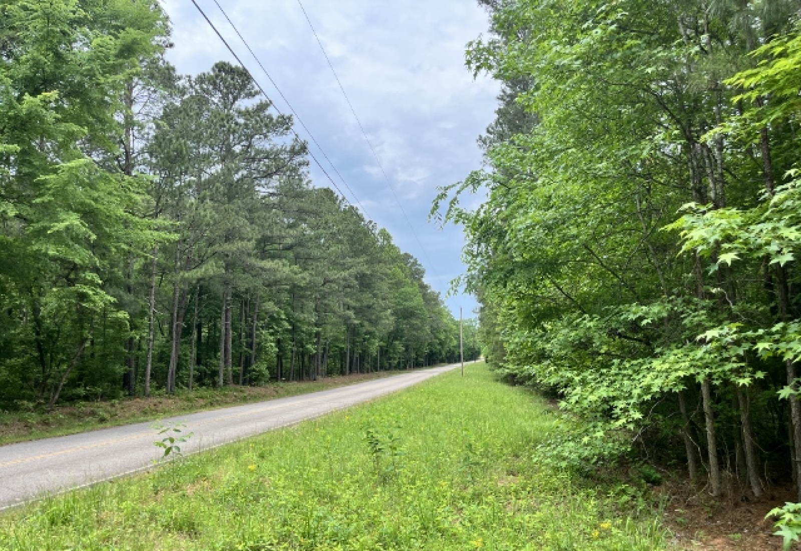 Greenwood County, ,Land,Contract Pending,1148