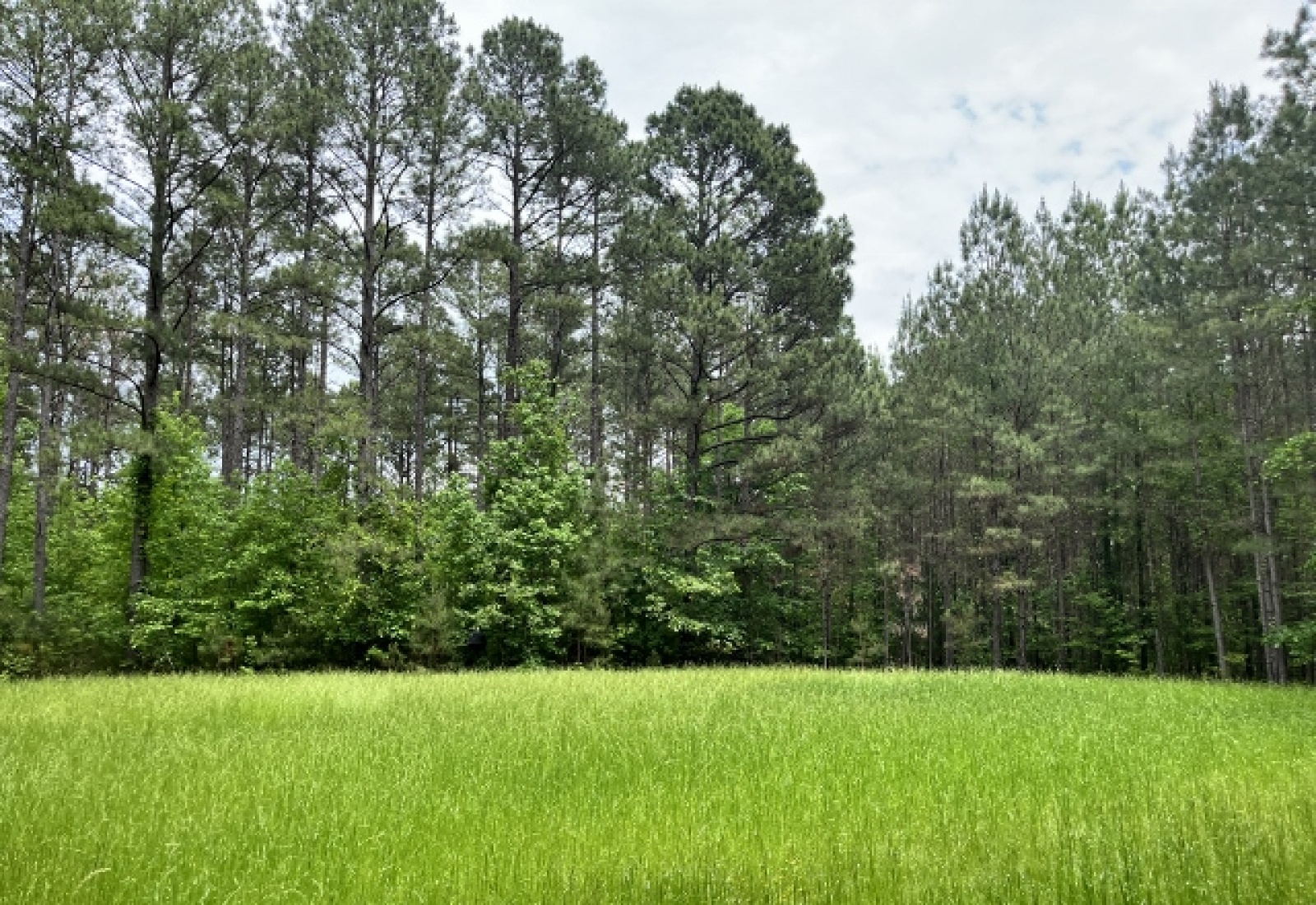 Greenwood County, ,Land,Contract Pending,1148