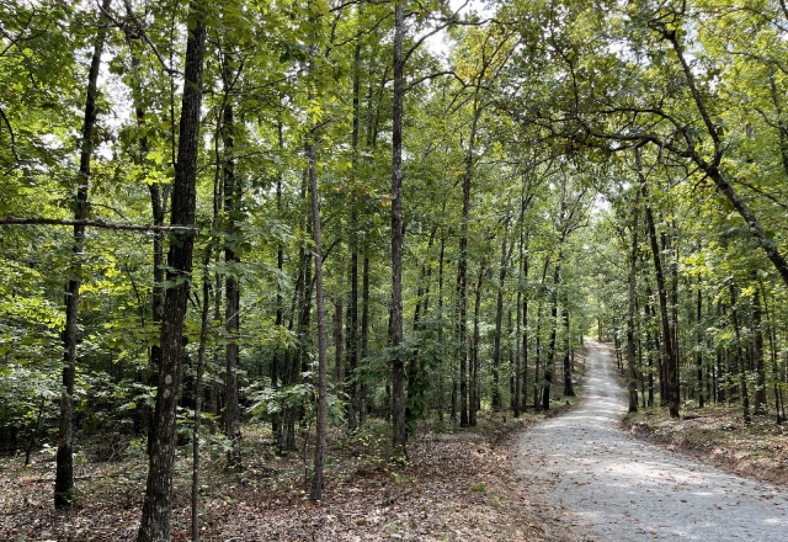 McCormick County, ,Land,Contract Pending,1149