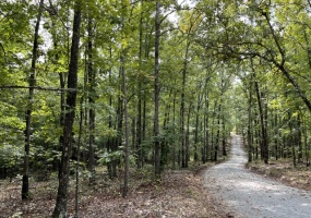 McCormick County, ,Land,Contract Pending,1149