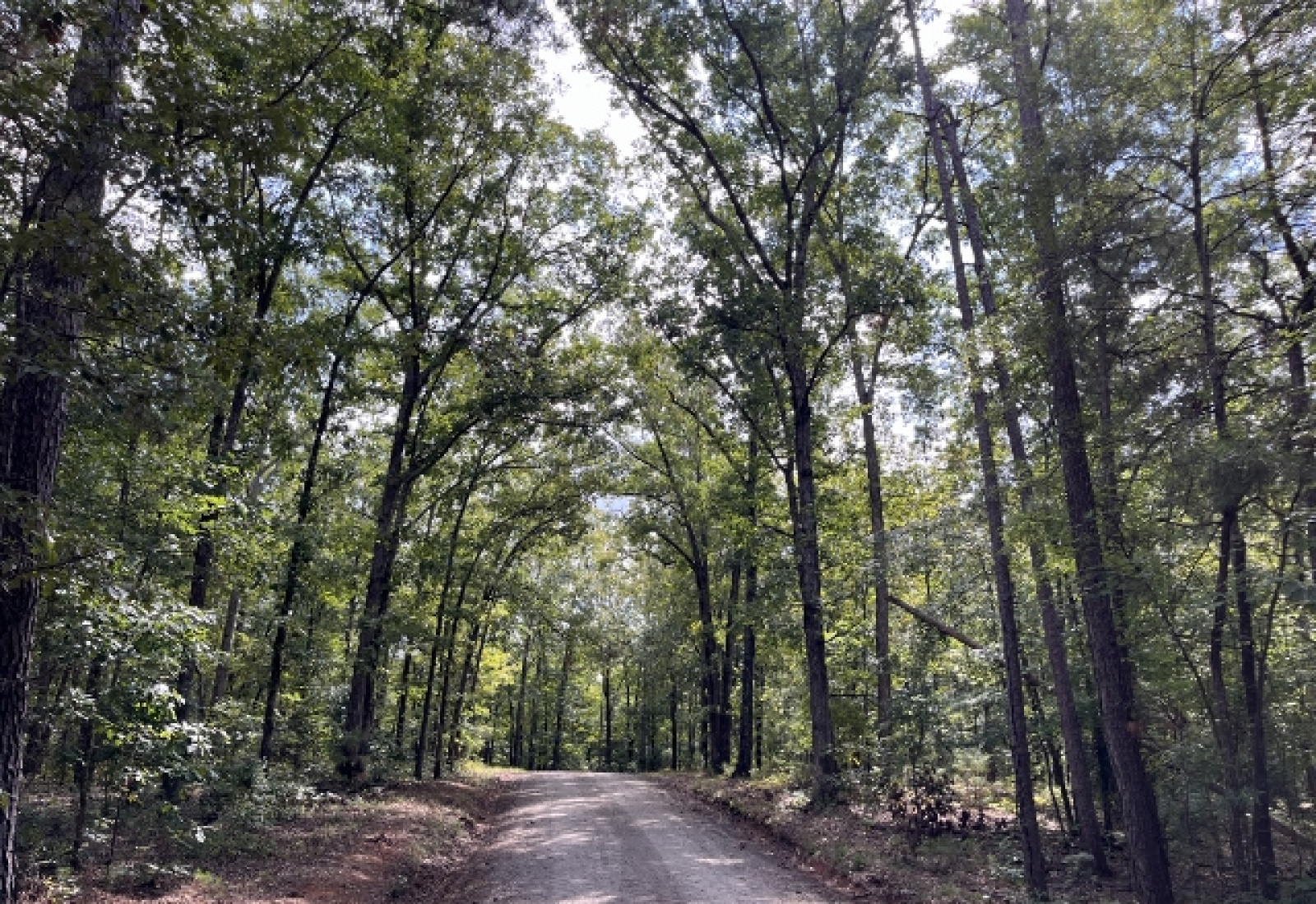 McCormick County, ,Land,Contract Pending,1149