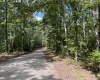 McCormick County, ,Land,Contract Pending,1149