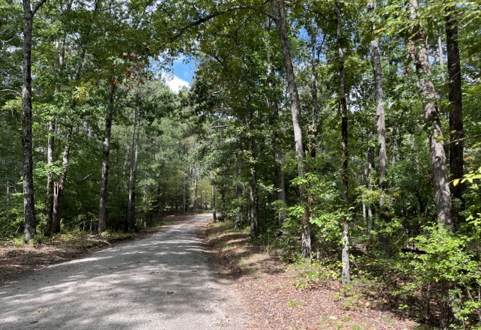 McCormick County, ,Land,Contract Pending,1149