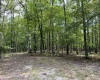 McCormick County, ,Land,Contract Pending,1149