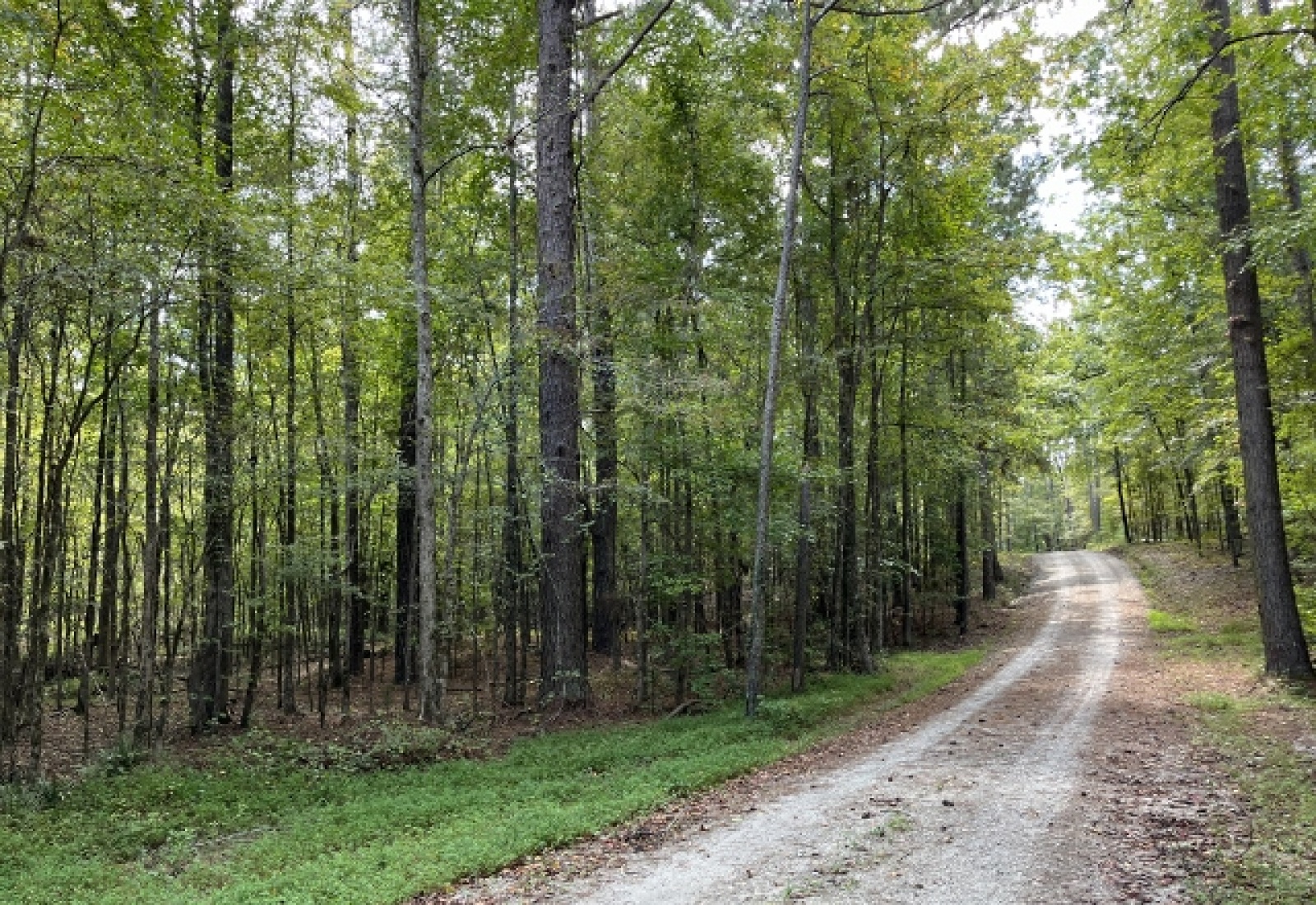 McCormick County, ,Land,Contract Pending,1149