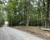 McCormick County, ,Land,Contract Pending,1149