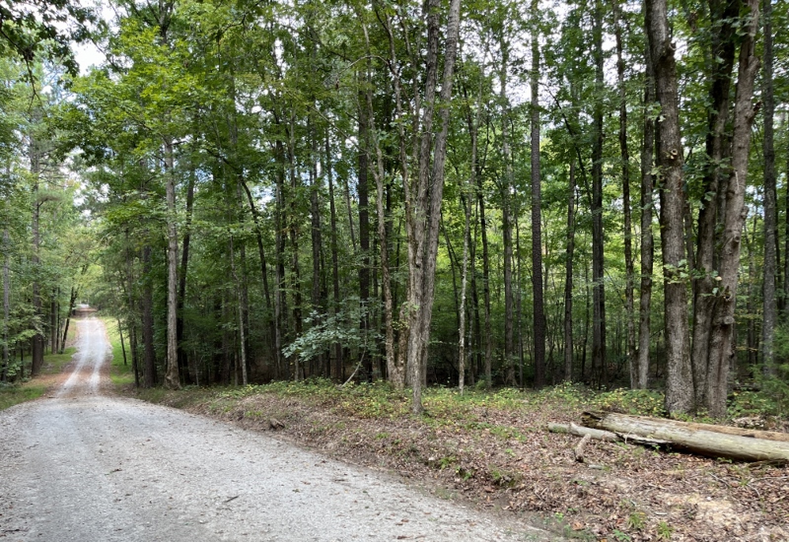 McCormick County, ,Land,Contract Pending,1149