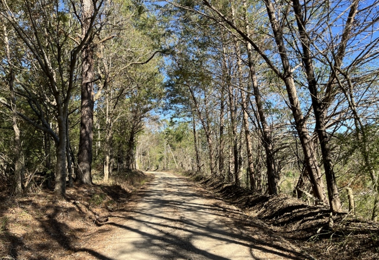 Saluda County, ,Land,Active,1150