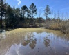 Saluda County, ,Land,Active,1150