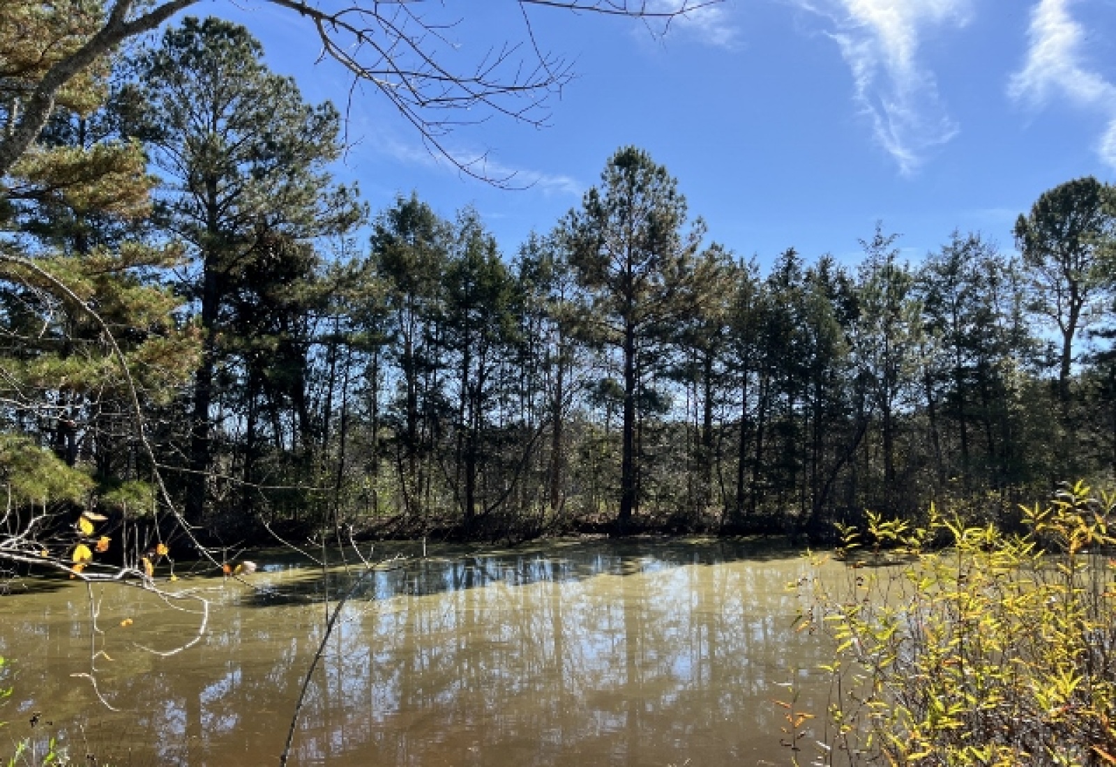 Saluda County, ,Land,Active,1150