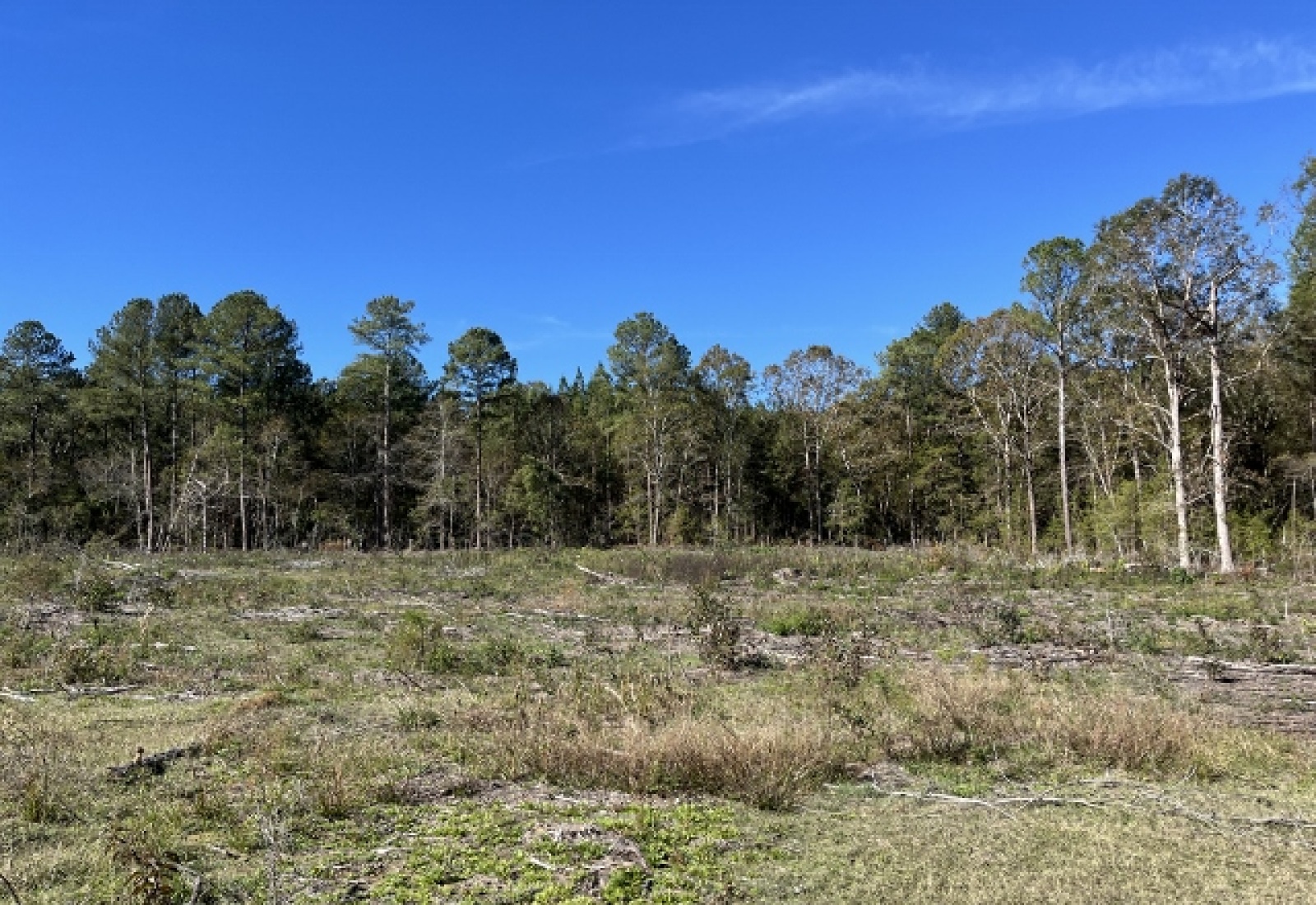 Saluda County, ,Land,Active,1150