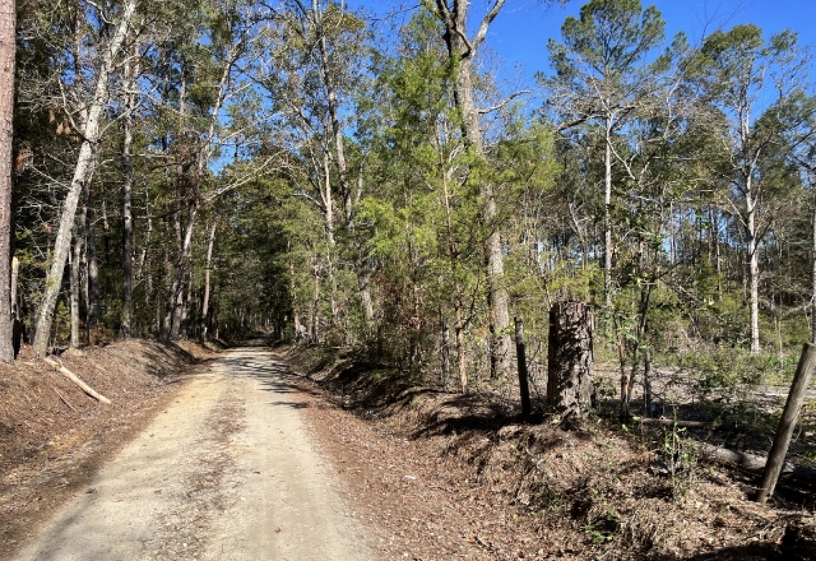 Saluda County, ,Land,Active,1150