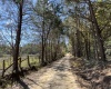 Saluda County, ,Land,Active,1150