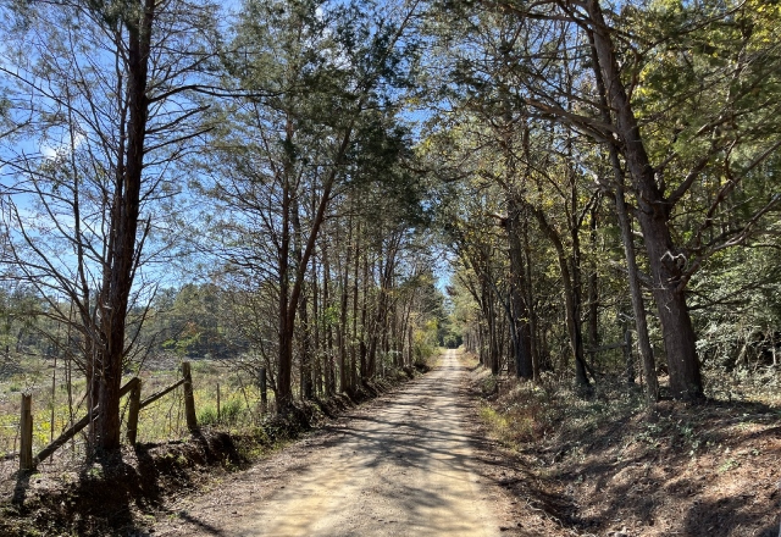 Saluda County, ,Land,Active,1150