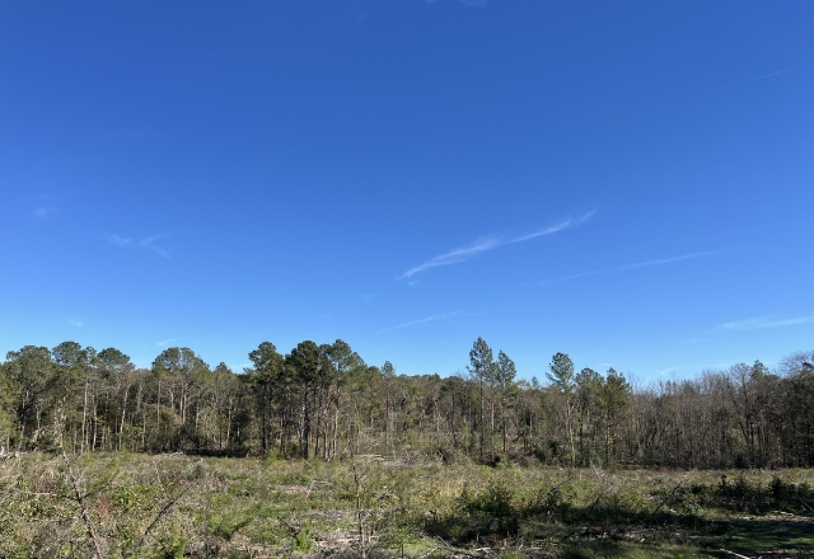 Saluda County, ,Land,Active,1150