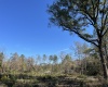 Saluda County, ,Land,Active,1150