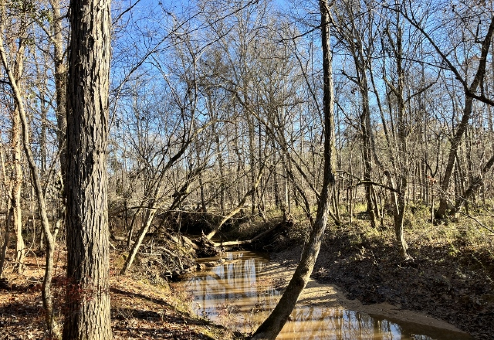 Greenwood County, ,Land,Active,1153