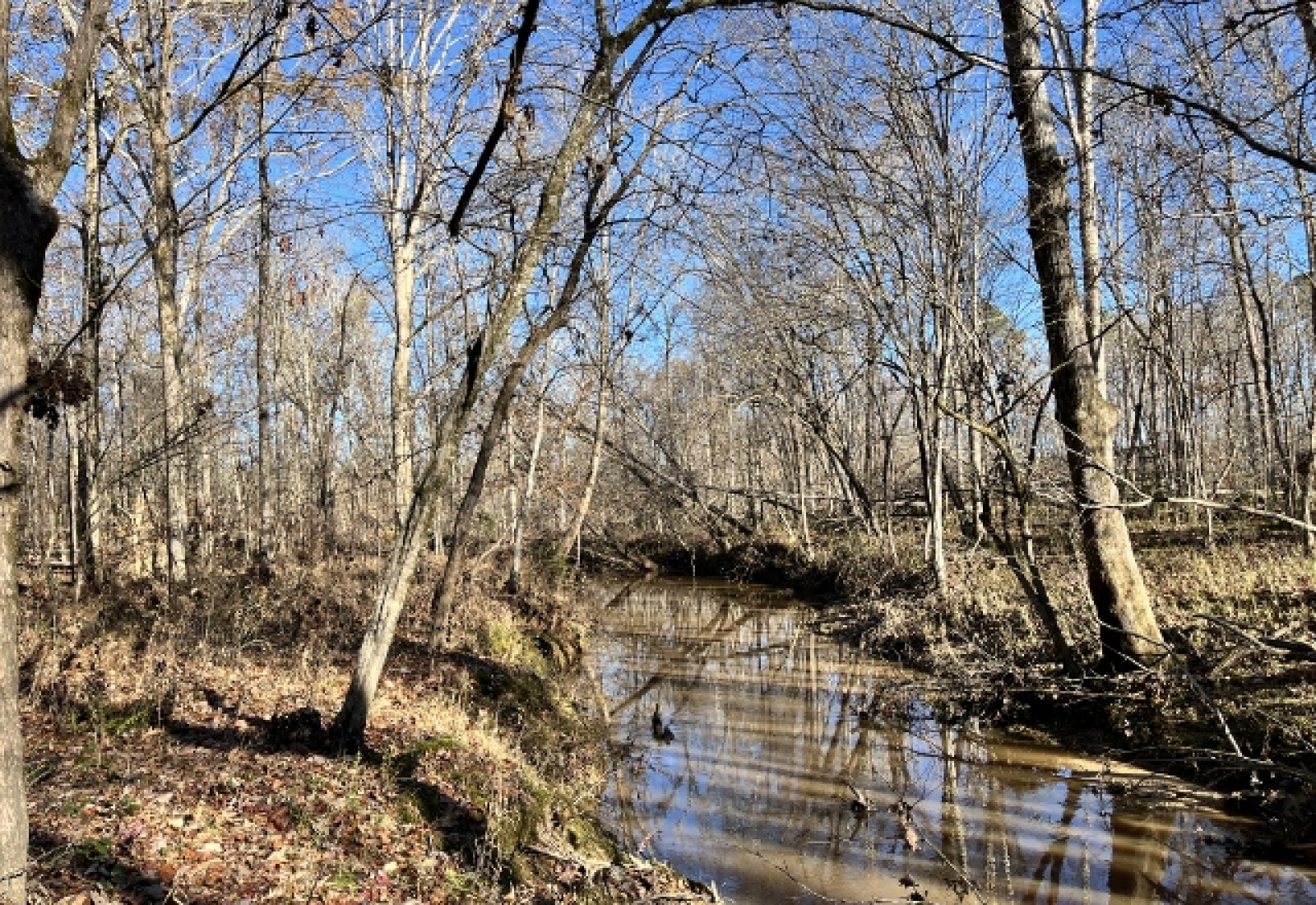 Greenwood County, ,Land,Active,1153