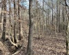 Abbeville County, ,Land,Active,1155